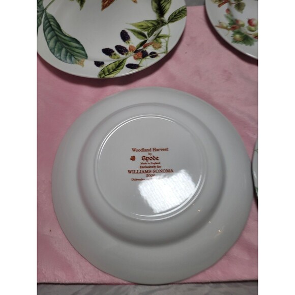 Set Of 4 Spode Williams Sonoma Woodland Harvest 9" Dessert Salad Luncheon Plates - Picture 5 of 10